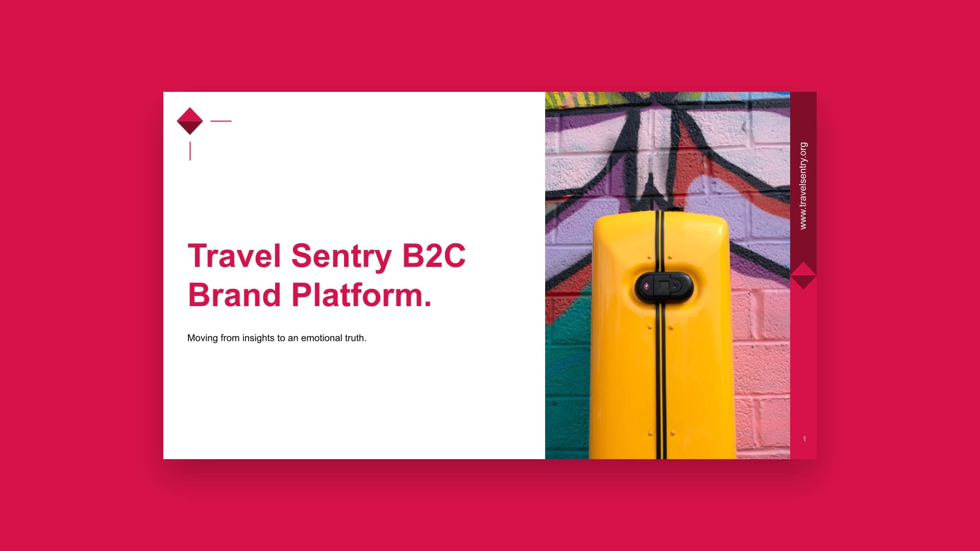 Travel Sentry